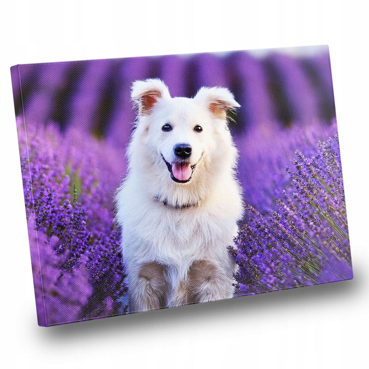 Fotoobraz z Twojego zdjęcia foto-obraz na płótnie 30x40 40x30 cm dekoracja do salonu i sypialni, personalizowany