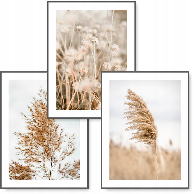 Boho zestaw 3 obrazy B2 50x70 trawa BEŻ plakat #12 dekoracja ścienna, pejzaż roślinny, pionowa orientacja, bez ramy