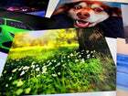 Druk plakat A2 druk wydruk full kolor zdjęcie papier 260g jakość grafika roślinna na ścianę, dekoracja wnętrza, format