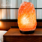 LAMPA SOLNA 3-5 kg sól himalajska JONIZATOR LAMPKA NOCNA Z SOLI NATURALNA ozdobne oświetlenie wnętrz, żarówka w