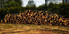 PIEŃ DĘBOWY TWARDY 50cm x 21cm KLOCEK PNIAK DO RĄBANIA ŁUPANIA DREWNA DĄB 10000 cm³