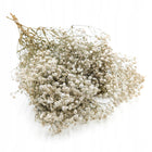 Gipsówka Stabilizowana - duże kwiaty - Royal Bouquet - Naturalna - 100g łyszczec do dekoracji i kompozycji
