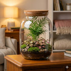 Słoik z pokrywą korkową 33cm idealny do stworzenia LAS w słoiku mikroklimat szklane naczynie florystyczne, terrarium