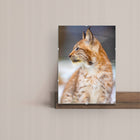 Anty-rama 50x70 / 70x50 CM foto ramka na zdjęcie plakat dyplom plexi CNC oprawa na certyfikat dokument grafikę