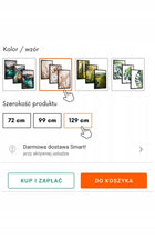 Nowoczesne obrazy na ścianę do salonu kuchni sypialni plakaty boho w ramach tryptyk roślinny, dekoracja wnętrza 99x43
