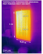 Grzejnik TRIO z REGULATOREM TEMPERATURY wzór: OGRÓD długofalowe 430 W
