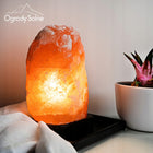 LAMPA SOLNA 3-5 kg sól himalajska JONIZATOR LAMPKA NOCNA Z SOLI NATURALNA ozdobne oświetlenie wnętrz, żarówka w