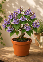 Prezent na Dzień Mamy drzewko szczęścia bonsai prezent dla Mamy na urodziny ozdoba do wnętrza, statuetka z grawerem i