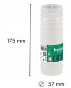 Wkłady do zniczy z parafiną 17,7 cm Bolsius RP4 całoroczne - 91h - 20 sztuk do lampionu nagrobnego, na grób, długopalące