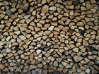 PIEŃ DĘBOWY TWARDY 50cm x 21cm KLOCEK PNIAK DO RĄBANIA ŁUPANIA DREWNA DĄB 10000 cm³
