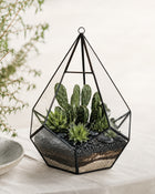 Zestaw XXL Las w Słoiku Szkle premium Podłoże Kamienie Mech Korzeń DIY 15w1 terrarium roślinne, mini ogród, dekoracja