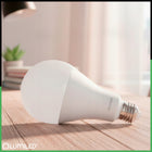 3x Żarówka LED E27 A95 24W = 200W 3452lm 4000K Neutralna 260° lumiled trzonek Edison, do lamp sufitowych i stojących