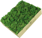 Skrawki mech chrobotek Forest Green Karton 1kg porost reniferowy do dekoracji i kompozycji florystycznych