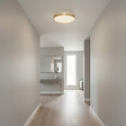 Plafon LED Lampa Sufitowa Oprawa Natynkowa Panel 18W 990lm 4000K osram okrągłe oświetlenie wnętrz, złote, neutralna