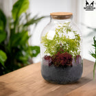 Słoik do lasu w szkle słój do dekoracji szklany duży z korkiem 3l 3000 ml terrarium roślinne, naczynie florystyczne na