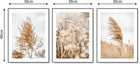 Boho zestaw 3 obrazy 30x40 natura BEŻ plakat #12 dekoracja ścienna, grafiki botaniczne, motyw roślinny, druk cyfrowy