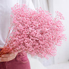Gipsówka stabilizowana gypsophila suszona bukiet dekoracyjny 75 cm do aranżacji florystycznych i dekoracji wnętrz