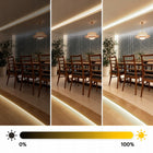 Taśma LED neon COB Linia 12V 4000K 50W 5m Rolka Pasek Neutralna Nie Mruga do oświetlenia wnętrz, światło białe, IP20