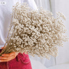 Gipsówka stabilizowana gypsophila suszona bukiet dekoracyjny do wazonu, ozdoba do wnętrz, kwiaty do kompozycji