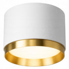 Oprawa Halogenowa GX53 Lampa Sufitowa TUBA LED Natynkowa SPOT biały złoty oczko okrągłe 1-punktowe do wnętrz